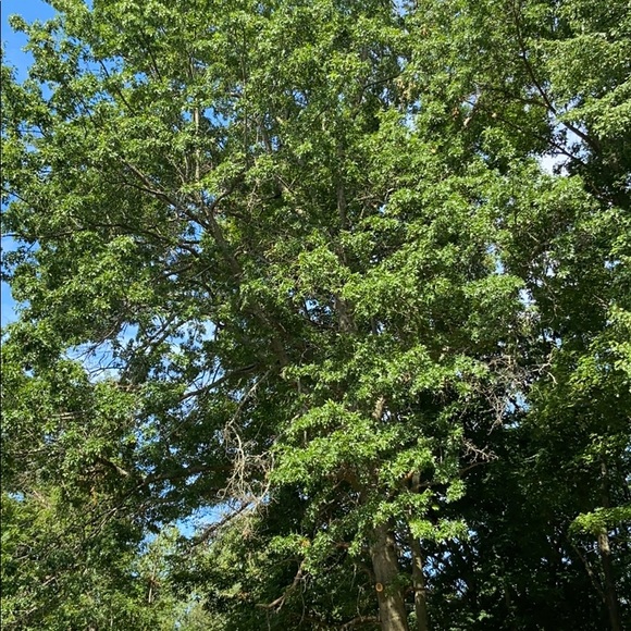 Meet your Posher, Kevin - Picture 1 of 1